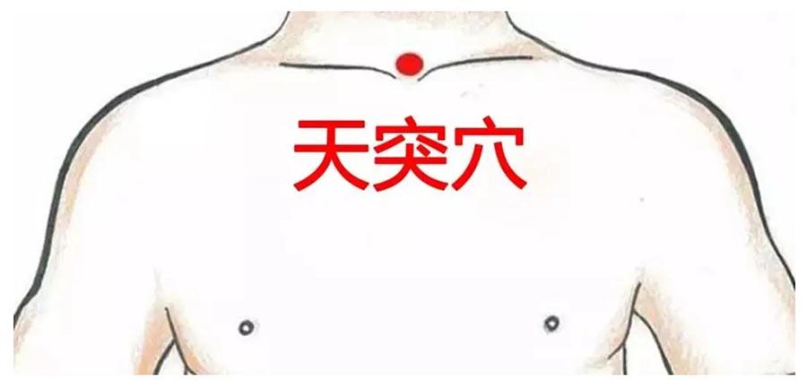 天突穴.jpg
